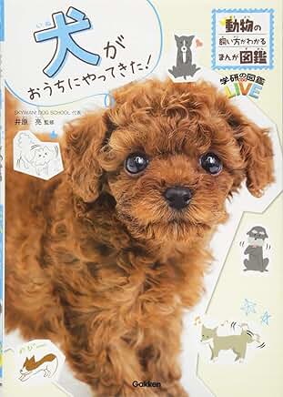 犬がおうちにやってきた！ 表紙