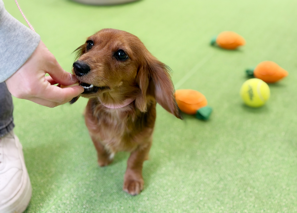日本橋校の様子